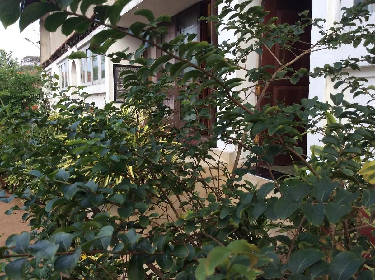 New Rest House Sea View Hotel Νεγκόμπο 0*,